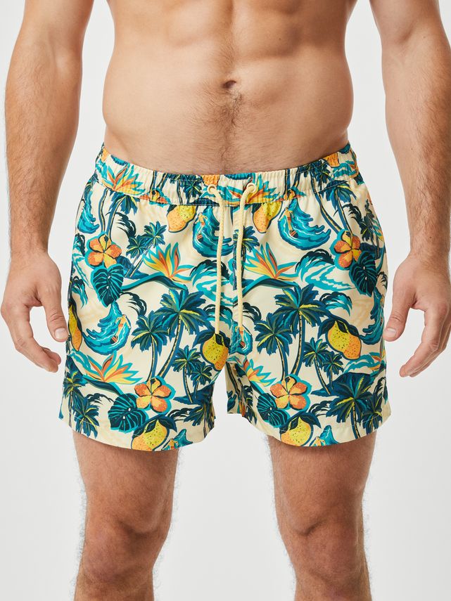 Borg Print Swim Shorts, Bb Tigre Big 2 fra Björn Borg