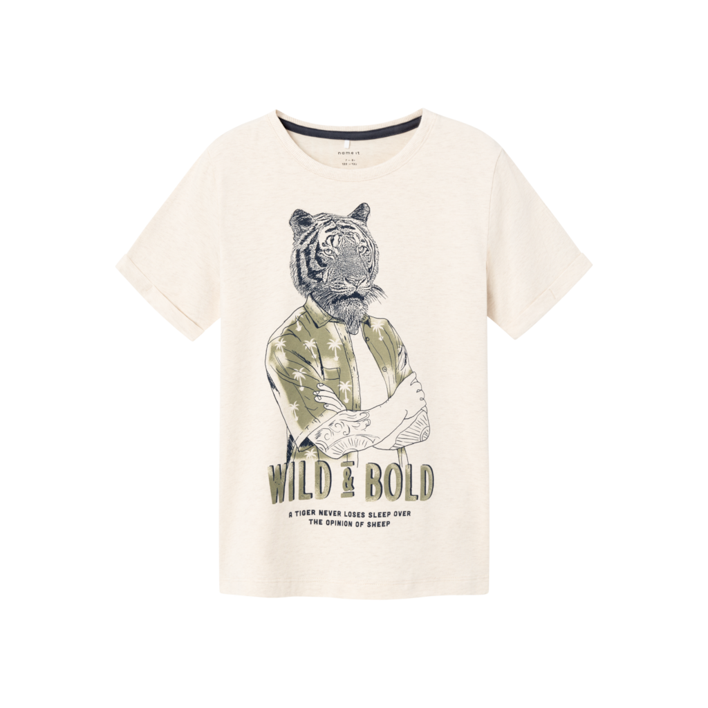 T Shirt Hasimon Peyote Melange fra Name It