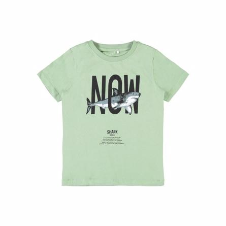 T-shirt Kaleb Basil fra Name It - Økologisk Kvalitet