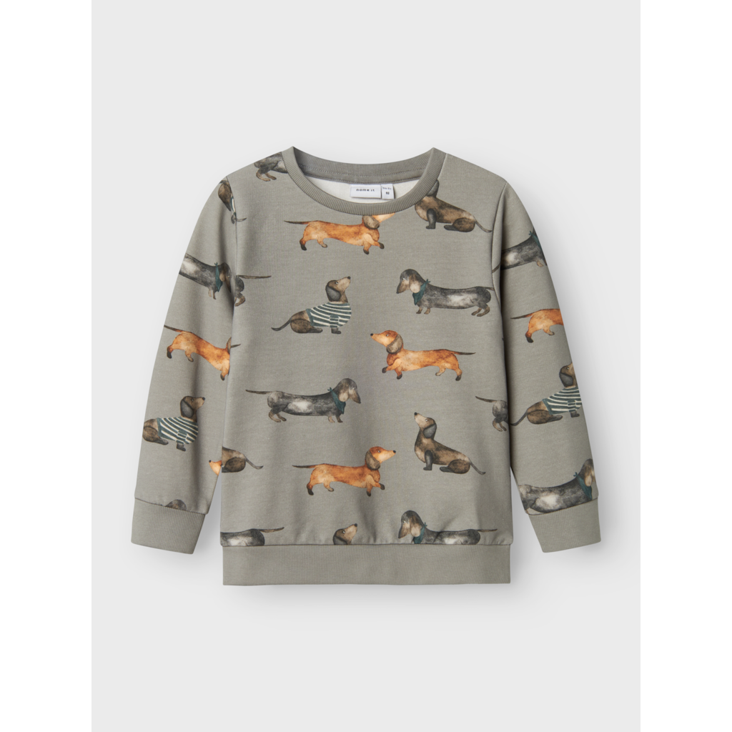 Sweatshirt Kingo Wild Dove fra Name It