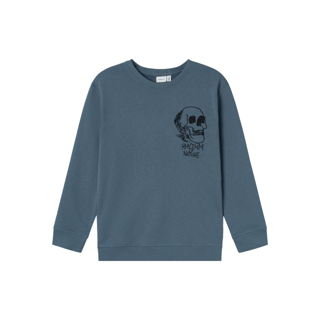 Sweatshirt Nomster Bering Sea fra Name It