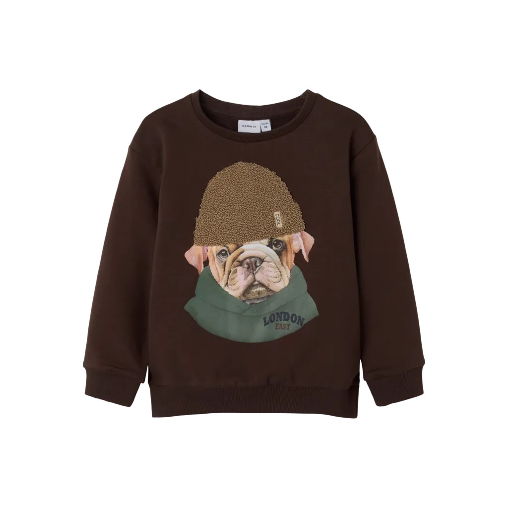 Sweatshirt Radek Bracken fra Name It