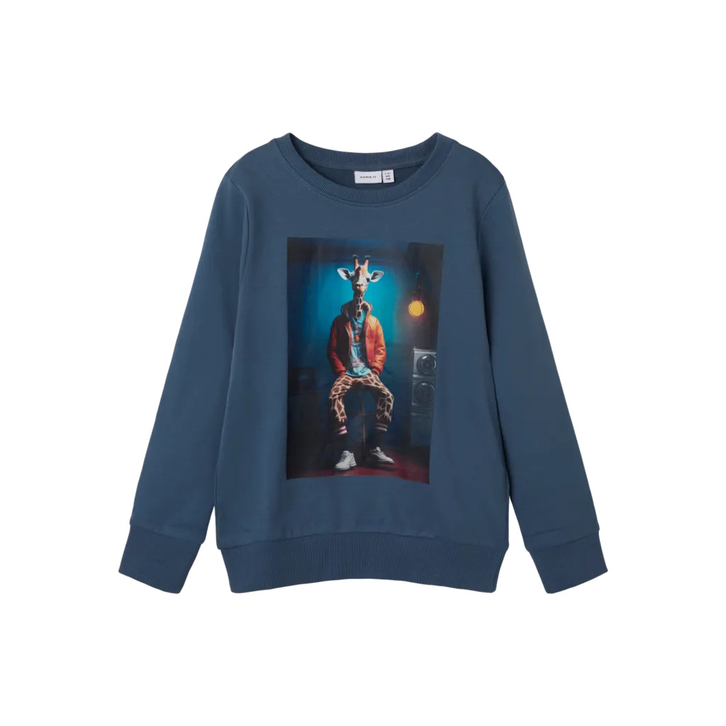 Sweatshirt Orlano Bering Sea fra Name It