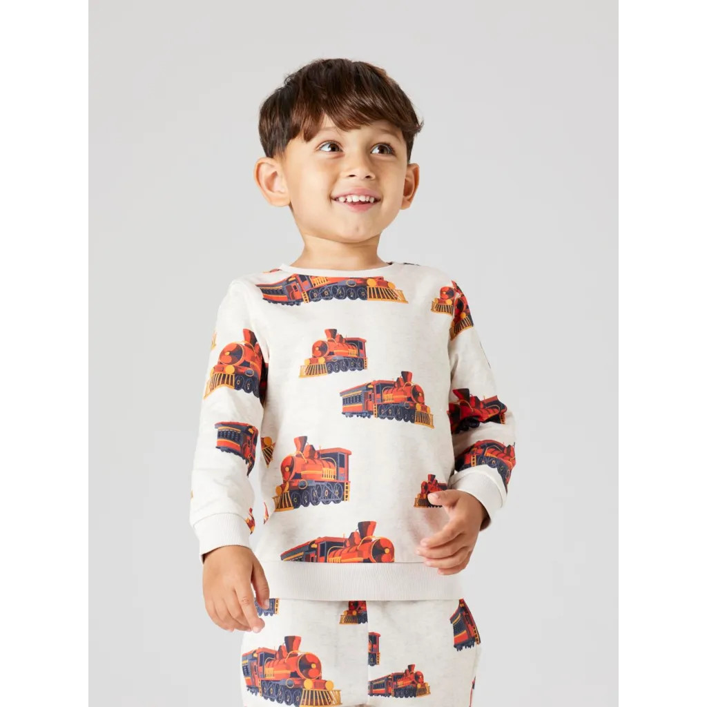 Sweatshirt Orman Peyote Melange fra Name It