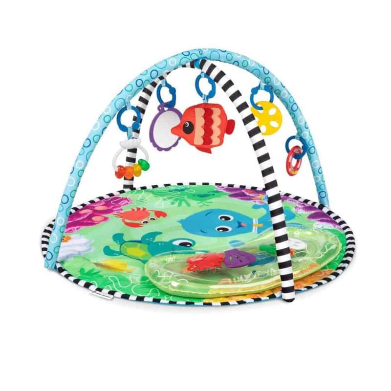 Sea Floor Explorers⢠2 I 1 Aktivitets Gym fra Baby Einstein