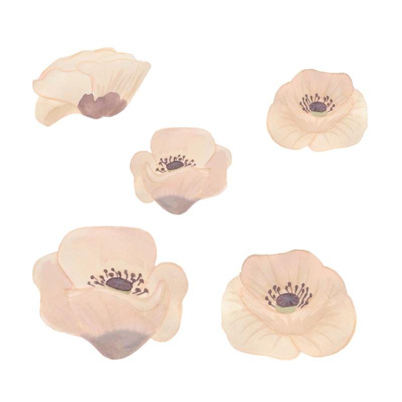 Wallsticker Valmue   Poppy Flower fra That's Mine