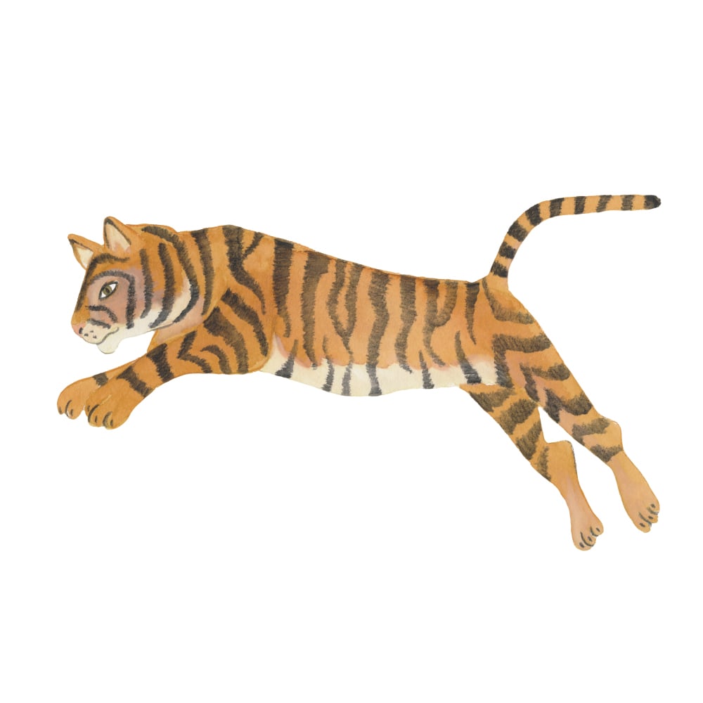 Wallsticker Tiger   Multi fra That's Mine