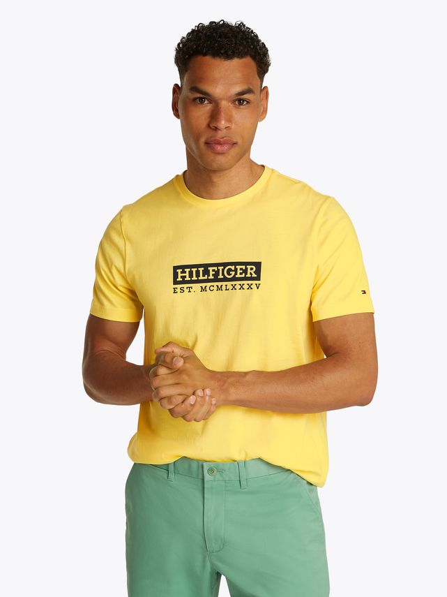 Colour To Colour Graphic Tee fra Tommy Hilfiger