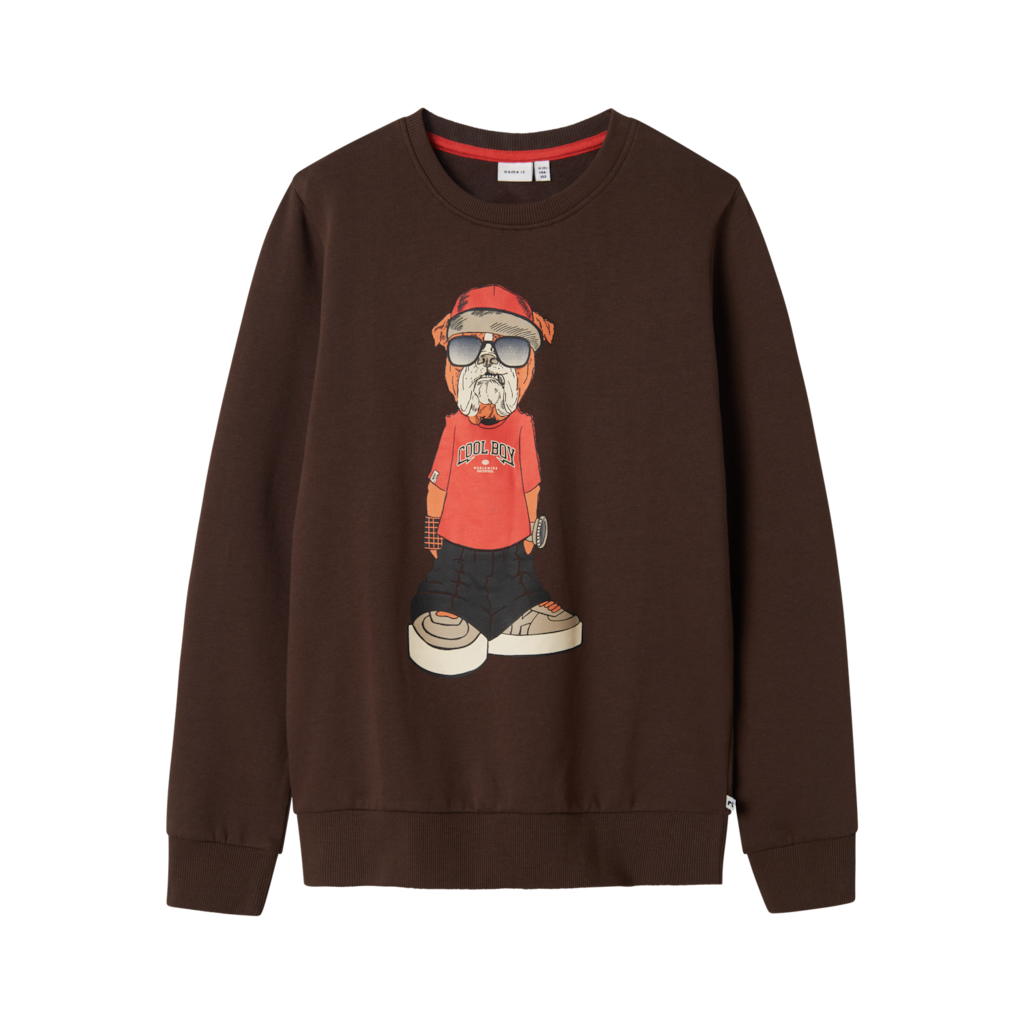 Sweatshirt Oklokken Bracken fra Name It
