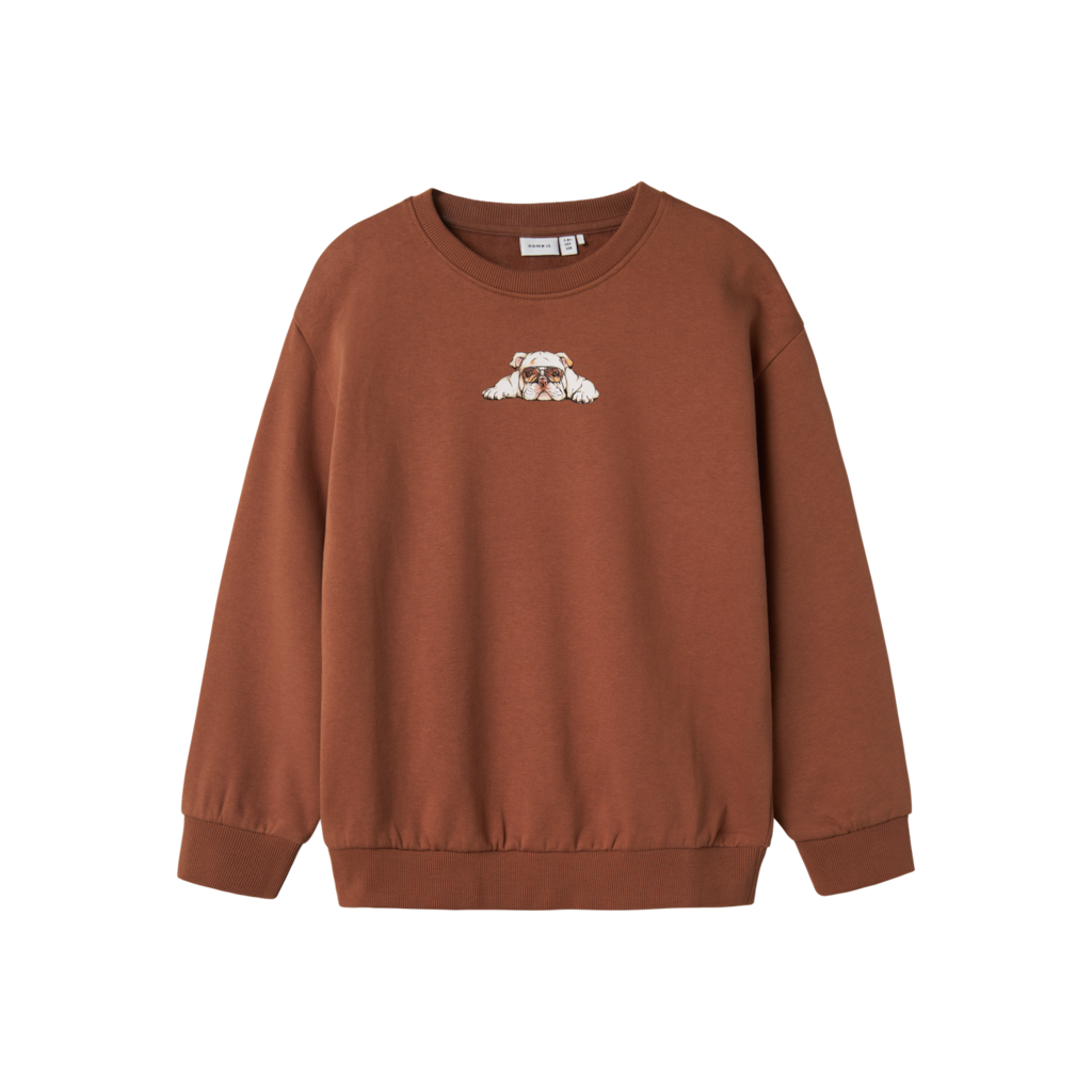 Sweatshirt Nakrave Pecan Pie fra Name It