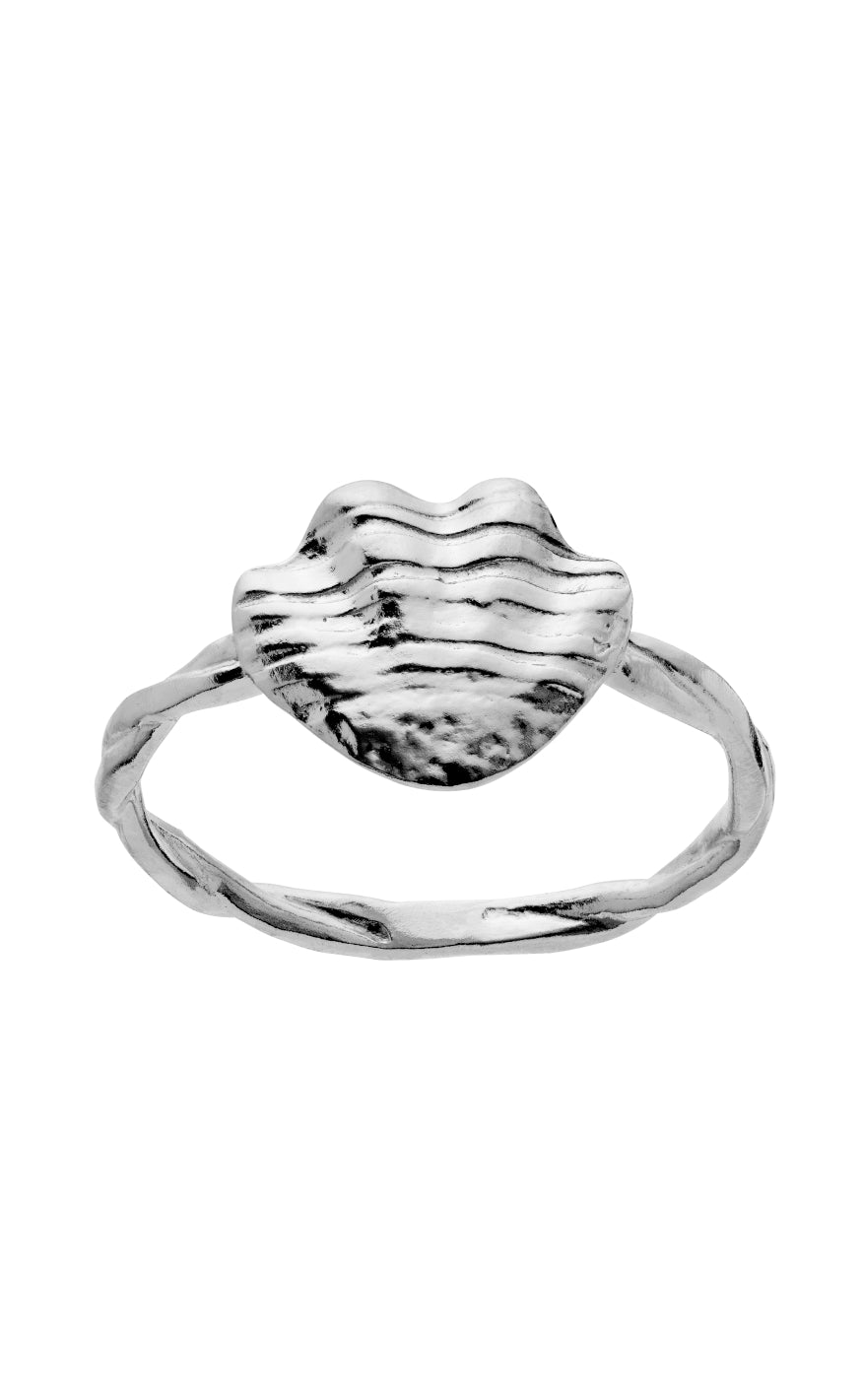 Ring Dwyn Silver Colour fra Maanesten