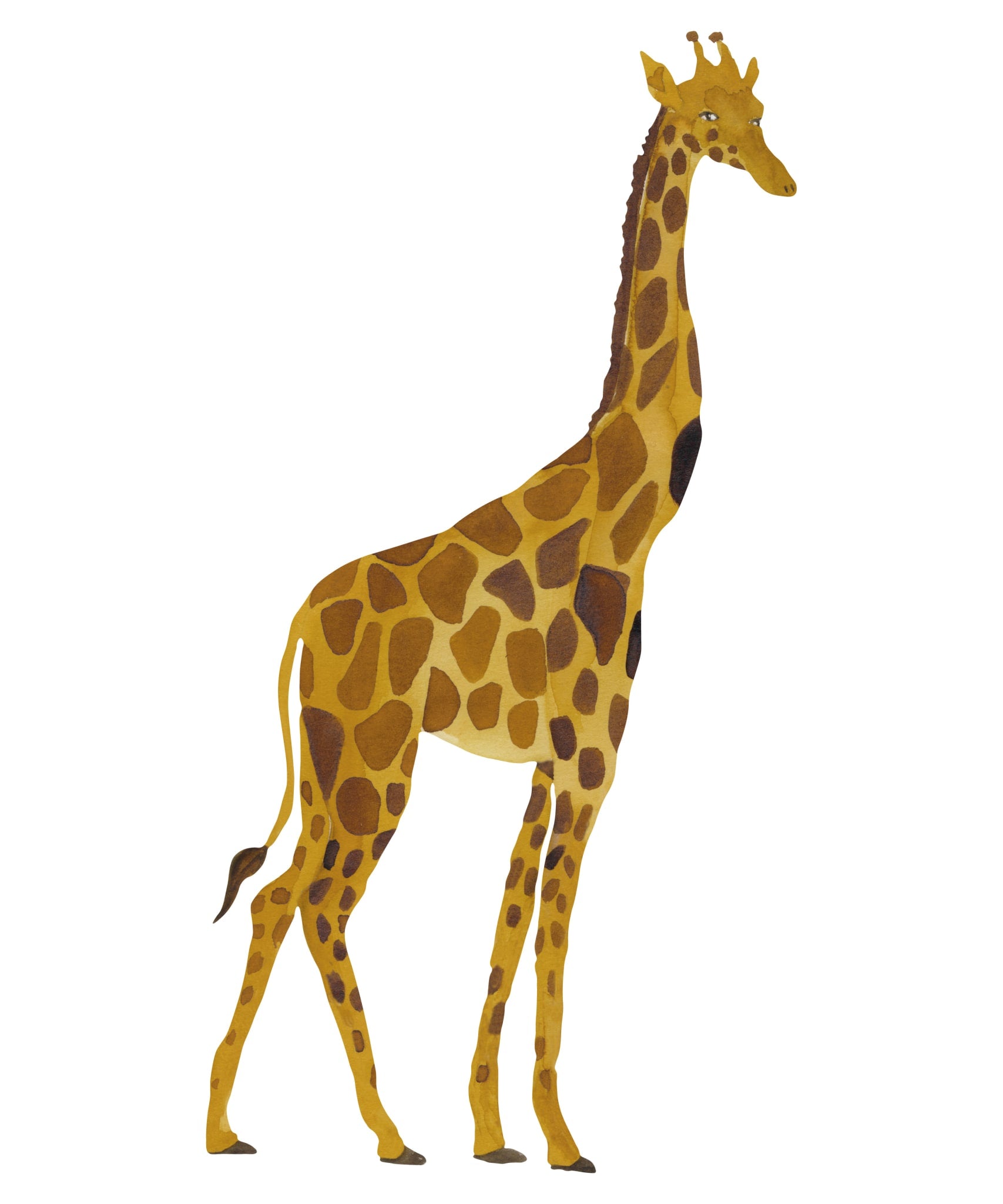 Wallsticker Giraffe   Multi fra That's Mine