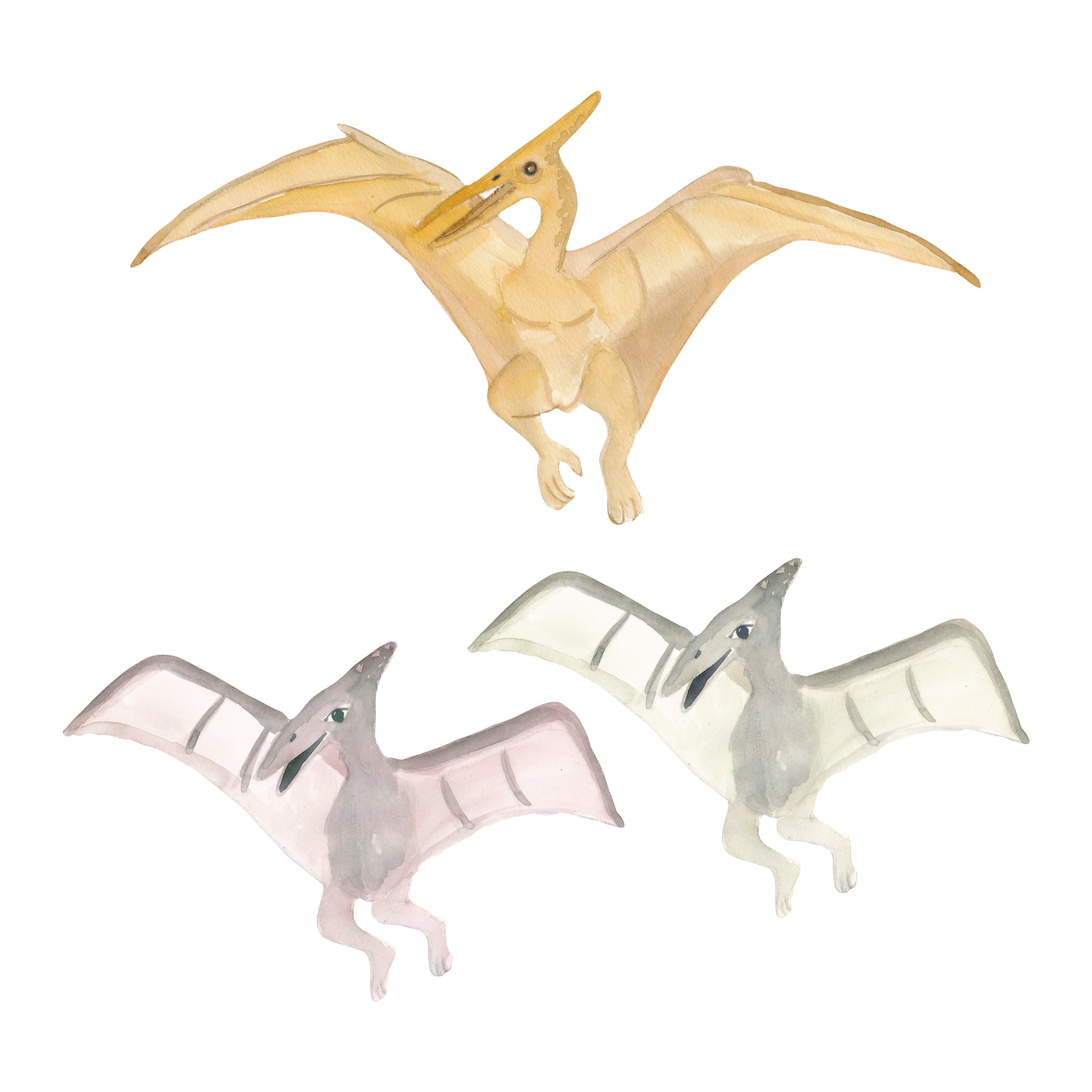 Wallsticker Pteranodone Family   Multi fra That's Mine