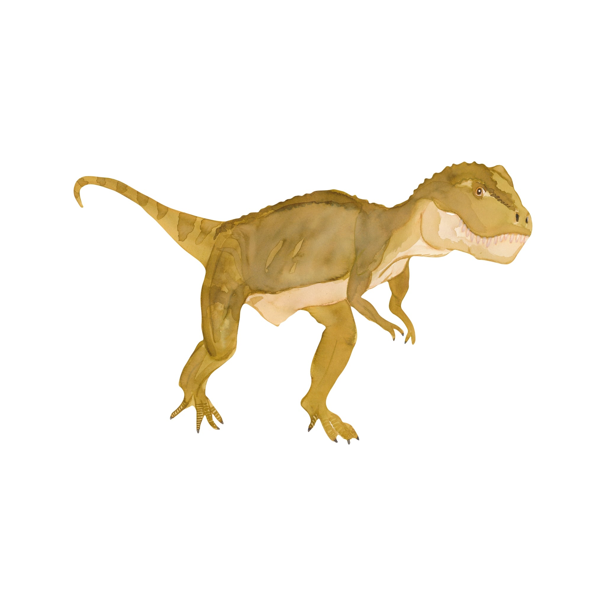 Wallsticker T Rex   Green fra That's Mine
