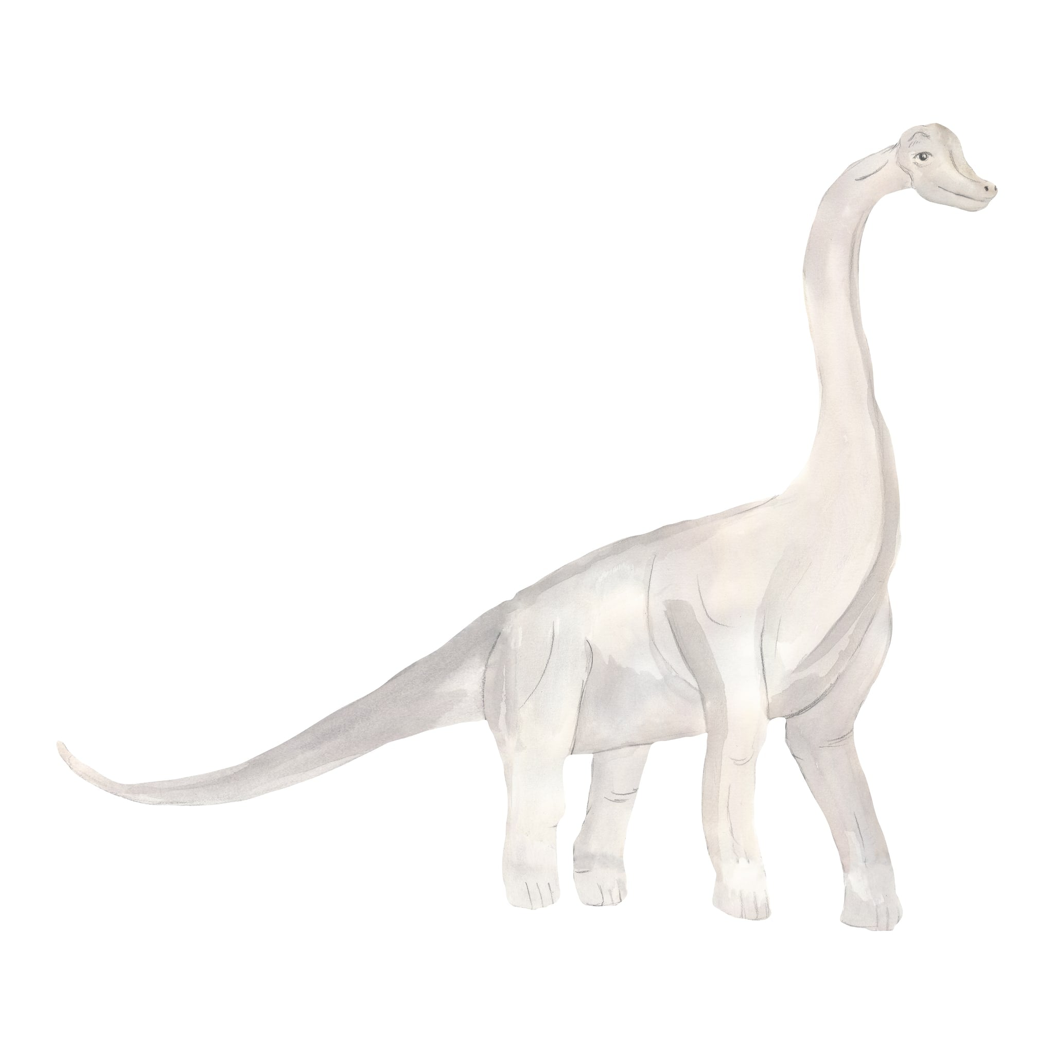 Wallsticker Brachiosaurus Grey fra That's Mine