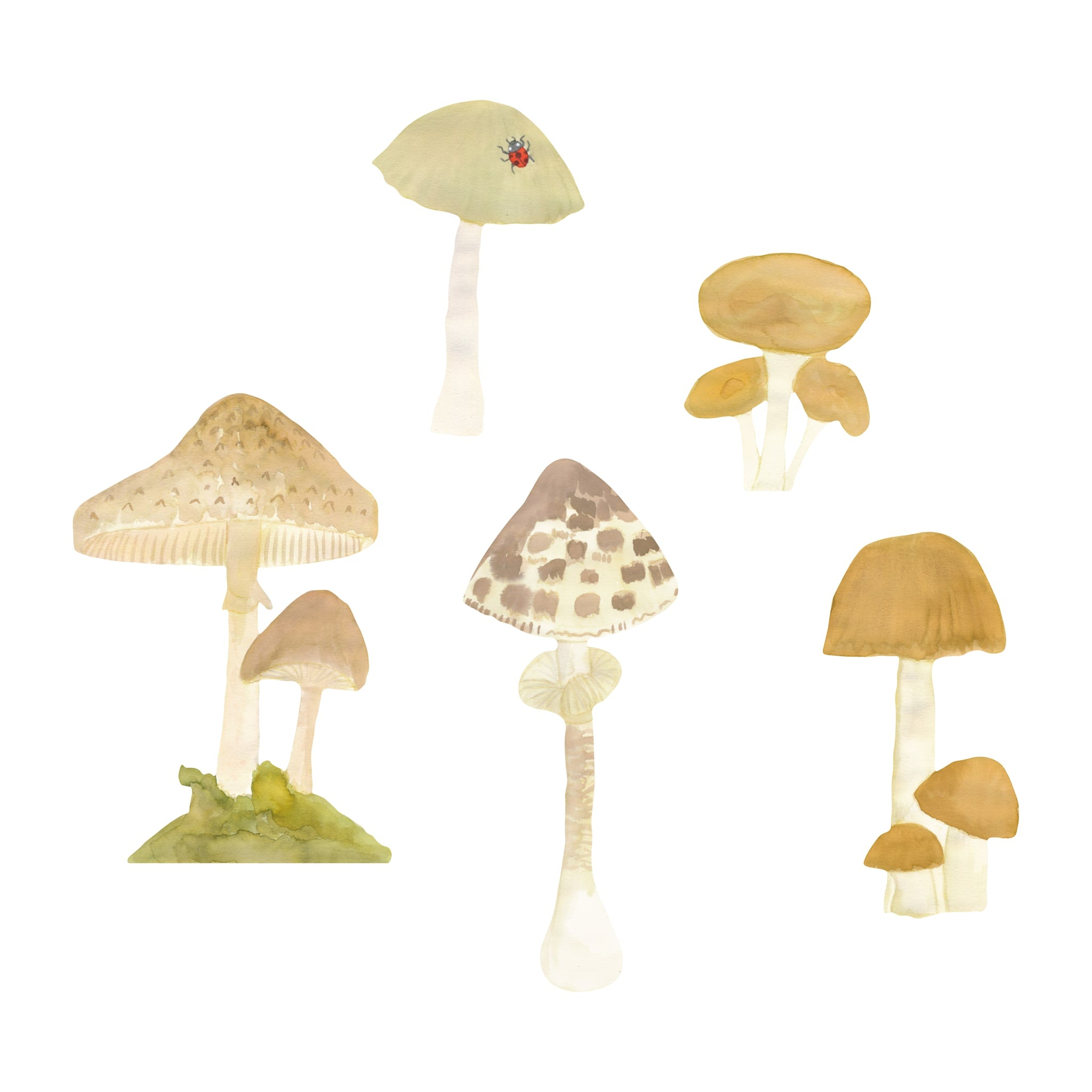 Wallsticker Forest Mushrooms 5 Pack   Multi fra That's Mine