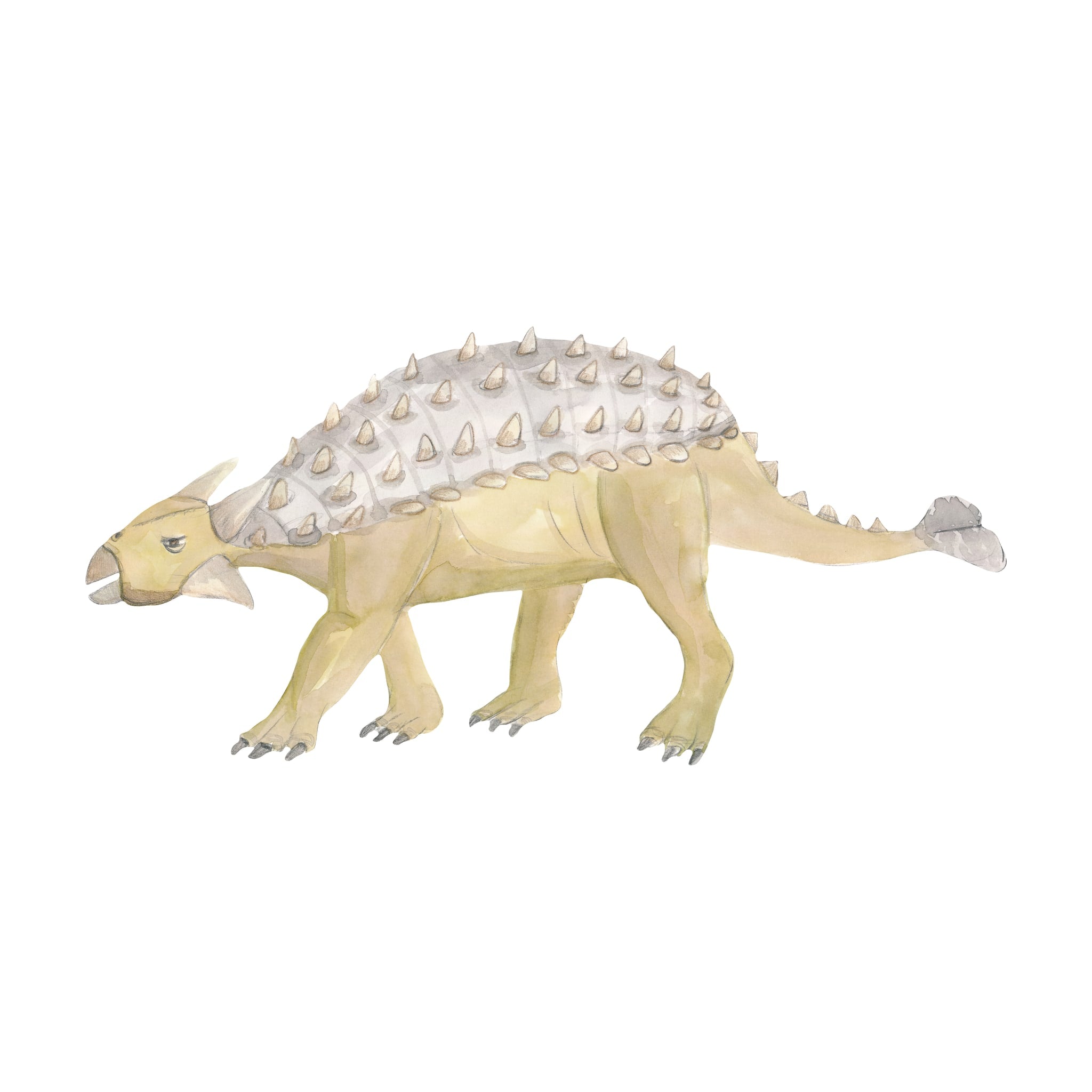 Wallsticker Ankylosaurus   Brown fra That's Mine