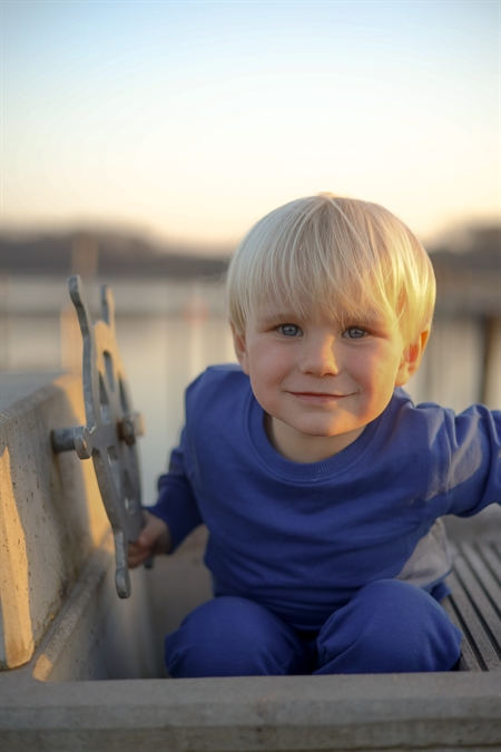 Sweatshirt Kobolt Blå fra Birkholm