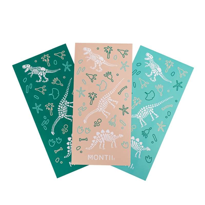 Vandfaste Stickers Til Madkasser Og Drikkedunke   Dinosaur Land fra Montiico